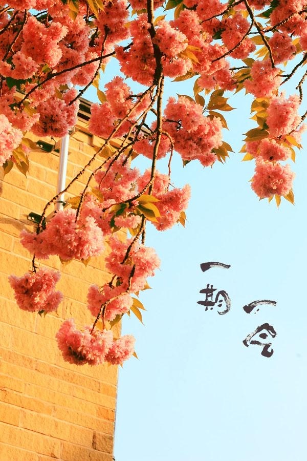 吃过生活的苦才明白努力有多重要