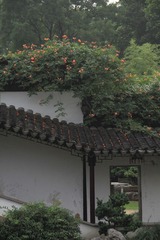 回廊