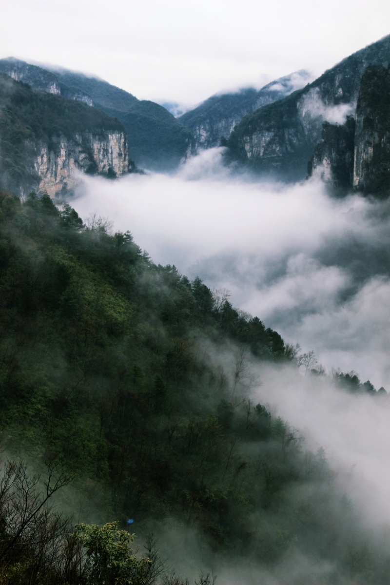 云雾升腾,黑湾森林公园,于奉节