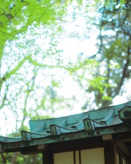 DSC05585-1