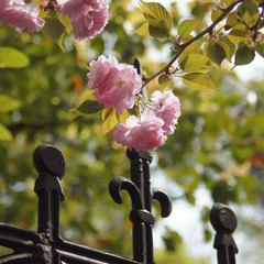 DSC01104.JPG