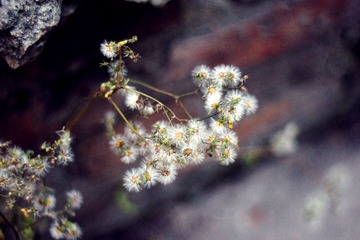 DSC01377.JPG