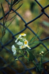 DSC01412.JPG