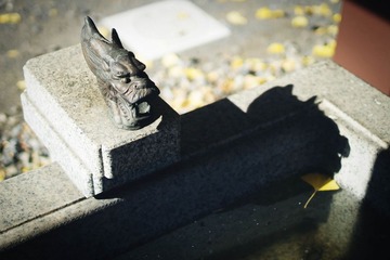 _DSC0689-1-1