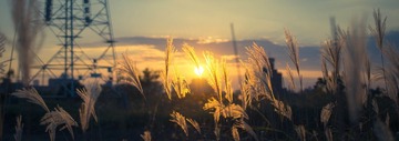 _DSC0611-1