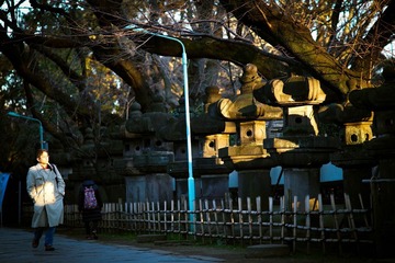 DSC00880-1