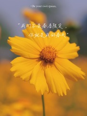 E97C30BB-E860-4B2D-85FB-BA51354C9207/L0/001