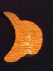 80529