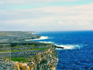 _DSC0281_gy.jpg