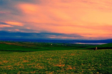 _DSC0059_gy.jpg