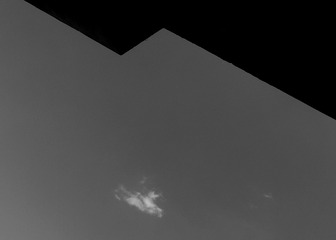 1557013
