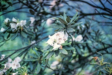 IMG_0002.jpg