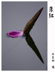 20100515a