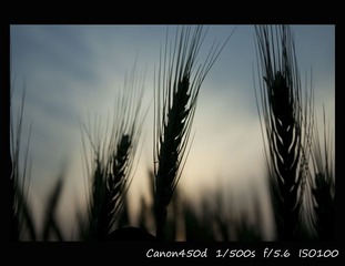20100514a
