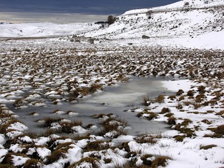 20100503a_2