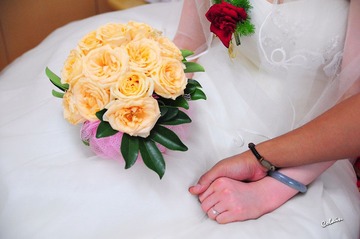 CSC_0376.jpg