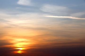 _MG_4122.jpg