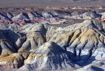 _MG_3987.jpg