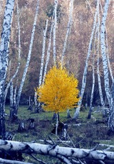 _MG_2489.jpg