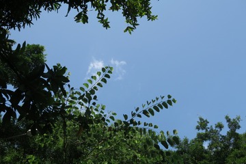 A9BE14E6-9F23-4C7B-B97A-2D34A19B0F2C/L0/001