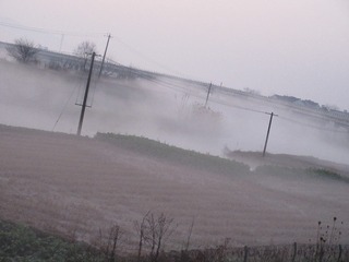 CEFF6FCD-B4CC-450E-B540-FC1D45D84CE7/L0/001