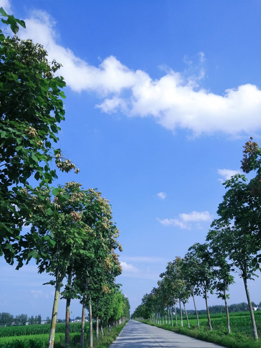 回忆里想起模糊的小时候云朵漂浮在蓝蓝的天空