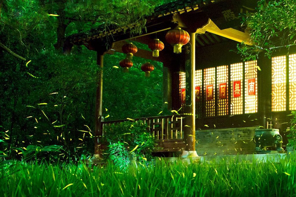 仲夏的窗外<br />
萤火虫的世界