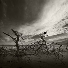 _DSC0077---