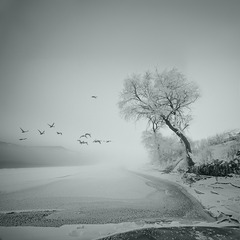 _DSC1933