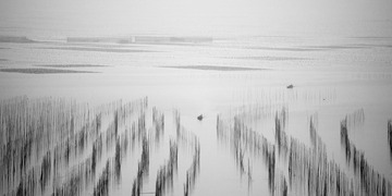 _DSC9072