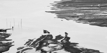 _DSC8419