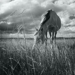 _DSC0072