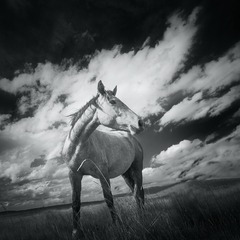 _DSC0076
