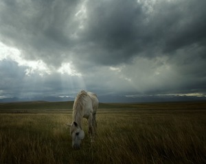 _DSC0115