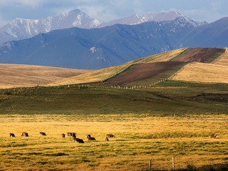 _DSC1220