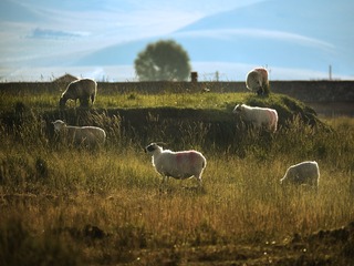 _DSC1224