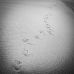 _DSC0330