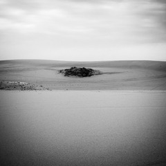 _DSC0318