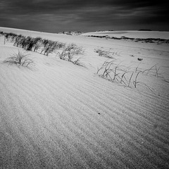 _DSC0425