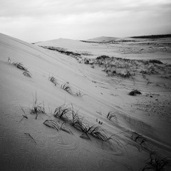 _DSC0322