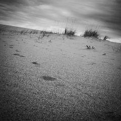 _DSC0410