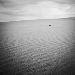 _DSC0328