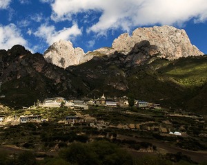 _DSC0463