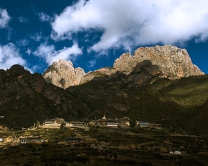 _DSC0463