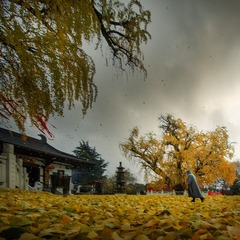 _DSC00101