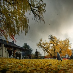 _DSC00101