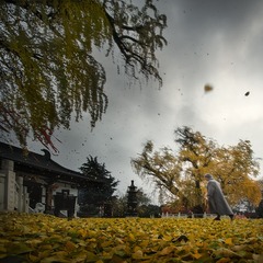 _DSC00101