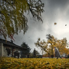 _DSC00101