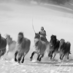 _DSC4506