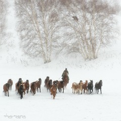 _DSC3601